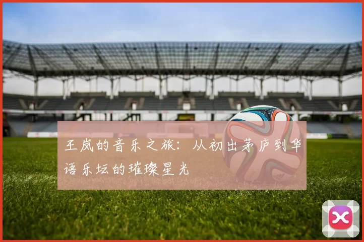 王岚的音乐之旅：从初出茅庐到华语乐坛的璀璨星光