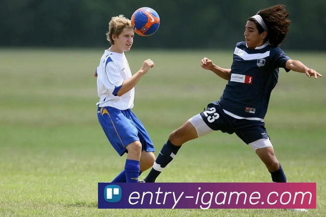 爱游戏平台生态图